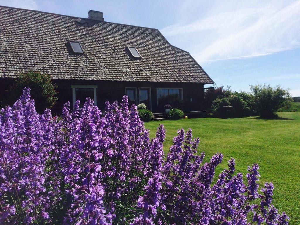 Tiiupesa Guest House Hellamaa  Eksteriør bilde
